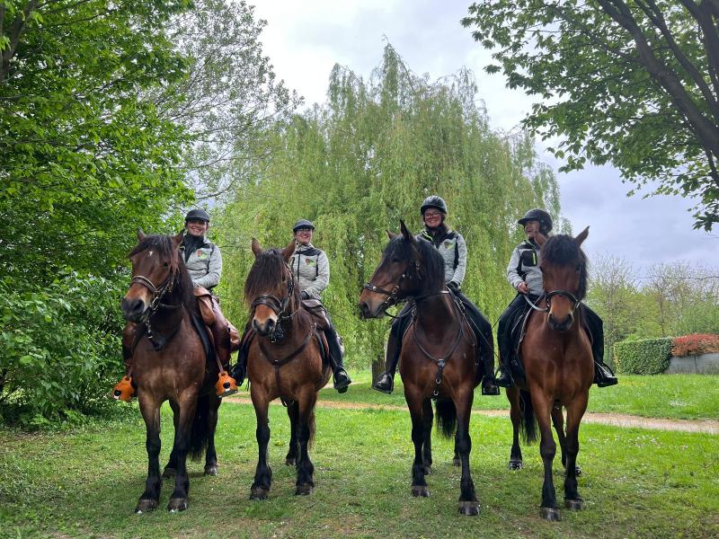 Assemblée Générale 2026