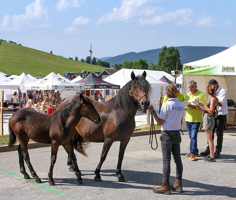 10e concours national de race